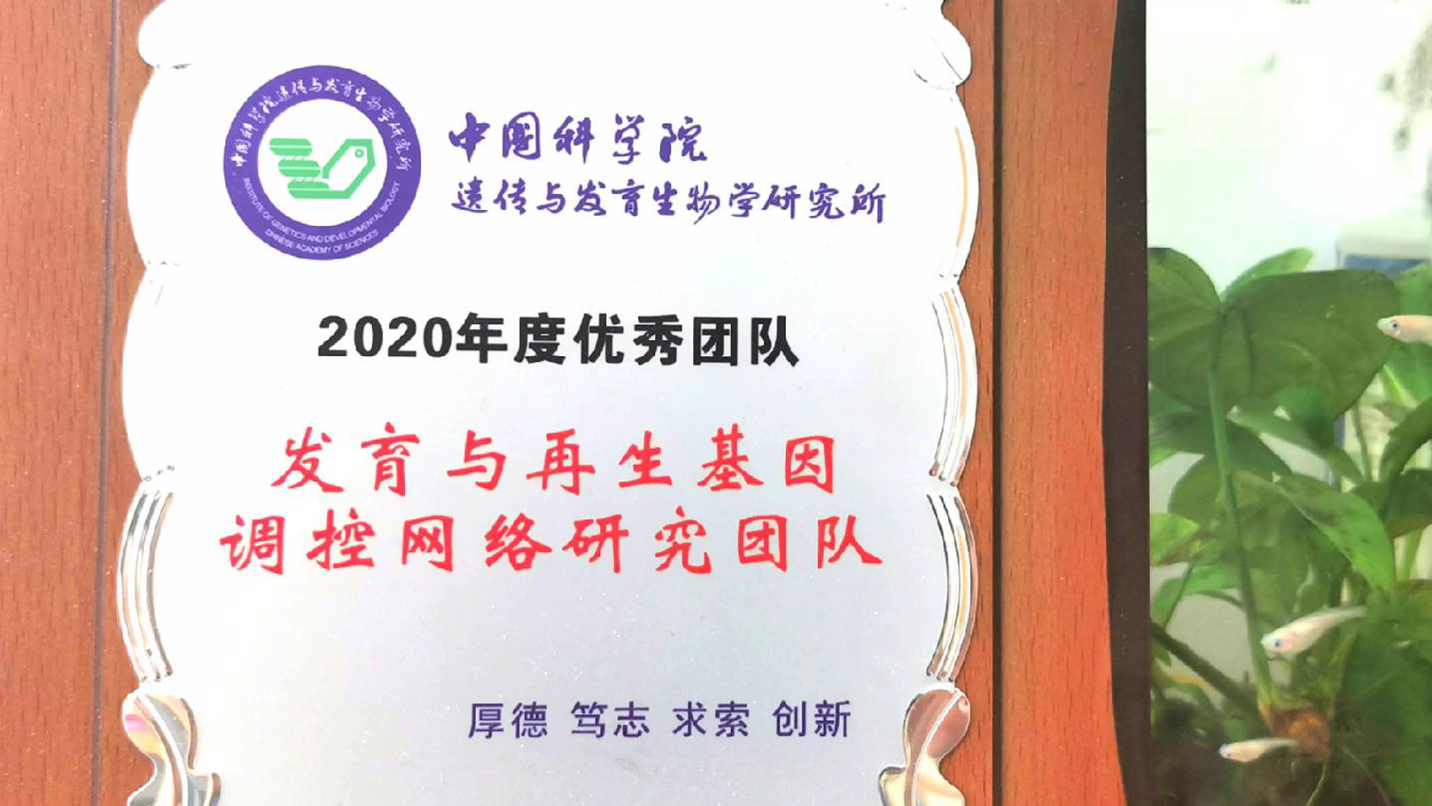 祝贺TuLab 获得遗传发育所2020年度优秀团队！