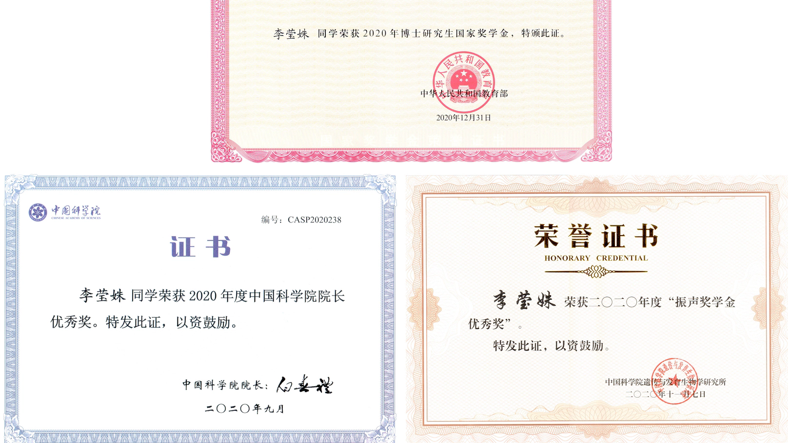 祝贺莹姝获得国家奖学金、中科院院长优秀奖、振声奖学金优秀奖！
