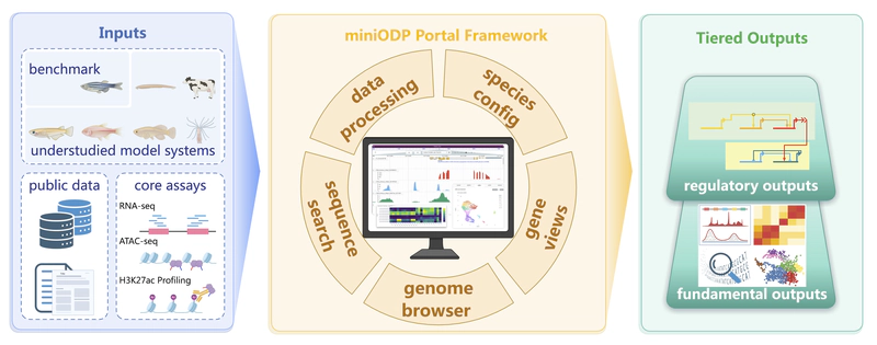 miniODP: a reusable framework for building multi-omics resources in understudied organisms graphical abstract